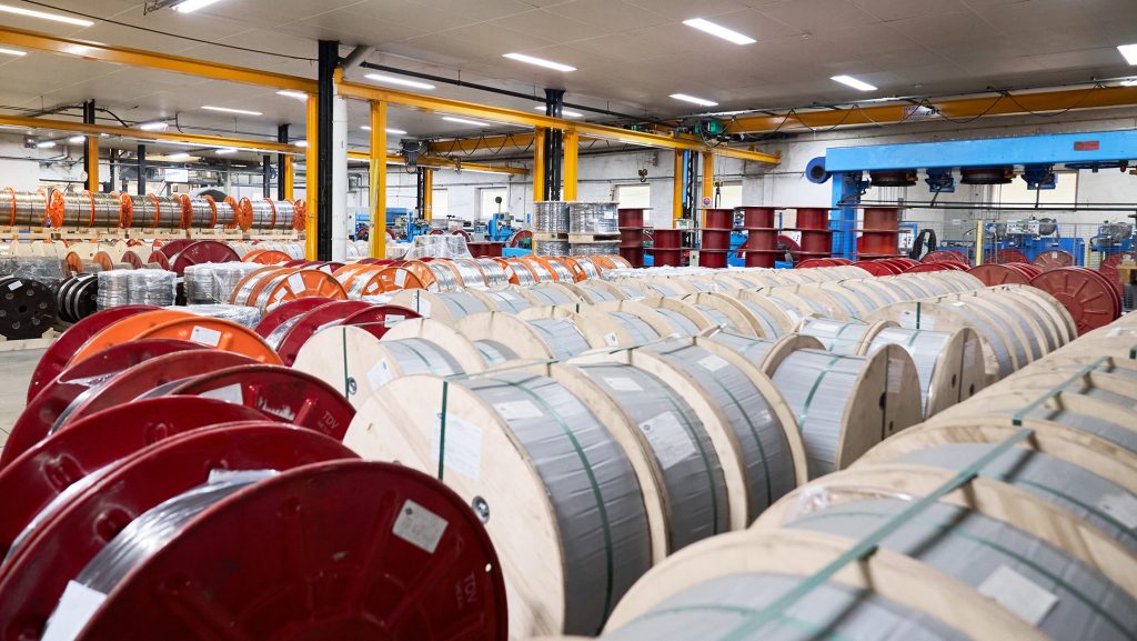 tdv profile image illustration stock produit fini