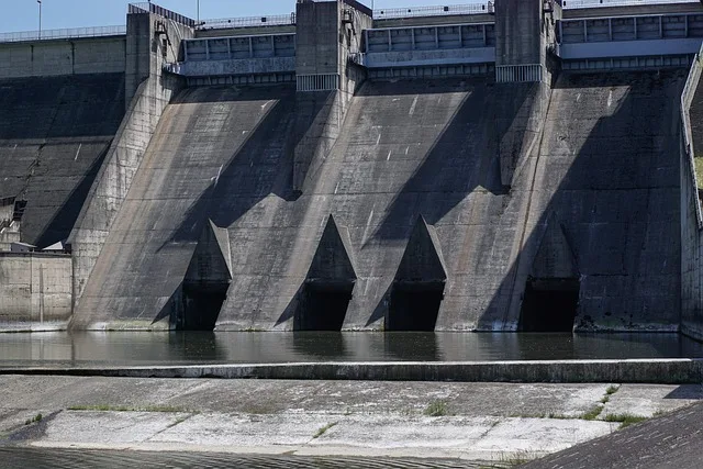 tdv profile image dam gecde c